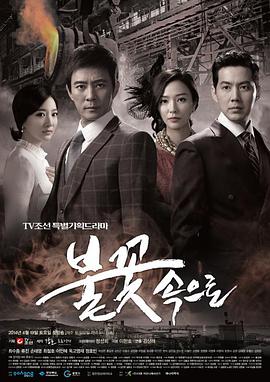 上门seo优化哪家便宜