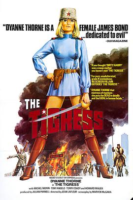 燃灯seo是哪个平台